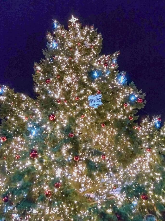 Vánoční strom na Zelňáku v Brně-symbol vánoc
